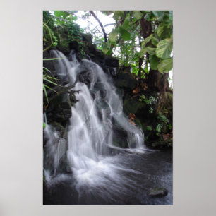 Póster Cachoeira
