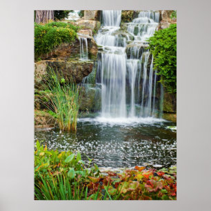 Póster Cachoeira