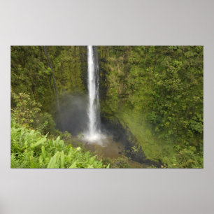 Póster Cachoeira Akaka, Costa de Hamakua, Ilha do Havaí,
