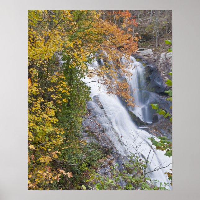 Póster Cachoeira Bald River (Frente)