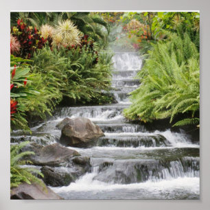 Póster cachoeira bonita