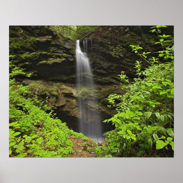 Póster Cachoeira caindo na dolina, Whiteoak Sink, (Frente)