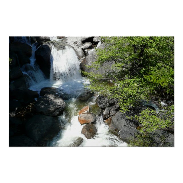 Póster Cachoeira Cascade em Yosemite National Park (Frente)