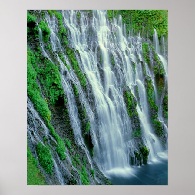 Poster Cachoeira cênica, Califórnia (Frente)