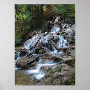 Póster Cachoeira da região selvagem