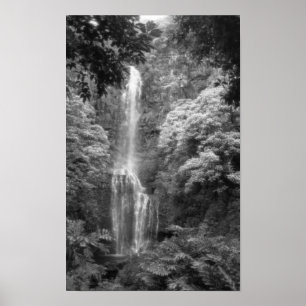 Póster Cachoeira de Hana
