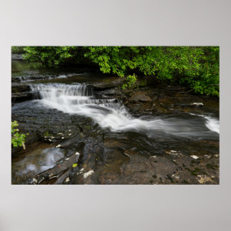 Poster Cachoeira do Bosque Tranquilo