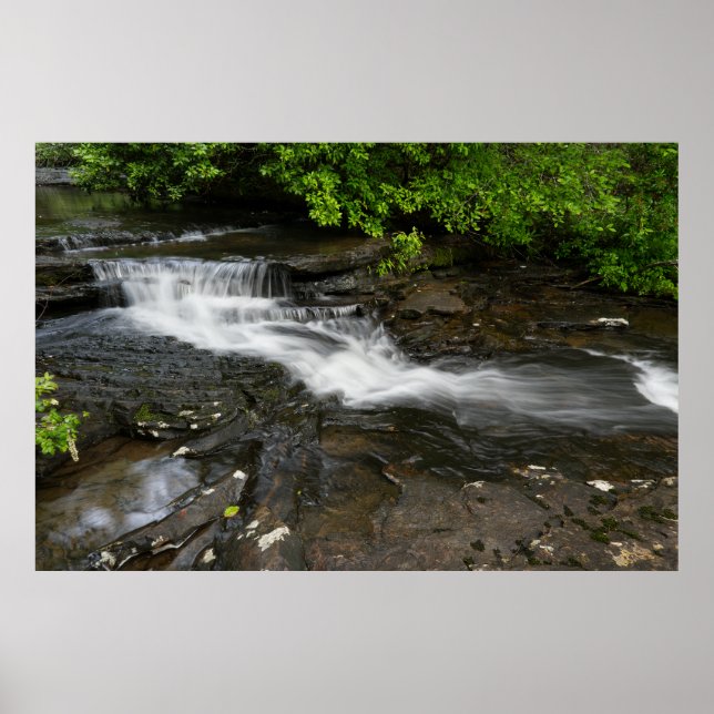 Poster Cachoeira do Bosque Tranquilo (Frente)