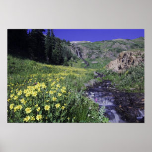 Póster Cachoeira e flores silvestres em prado alpino, 2
