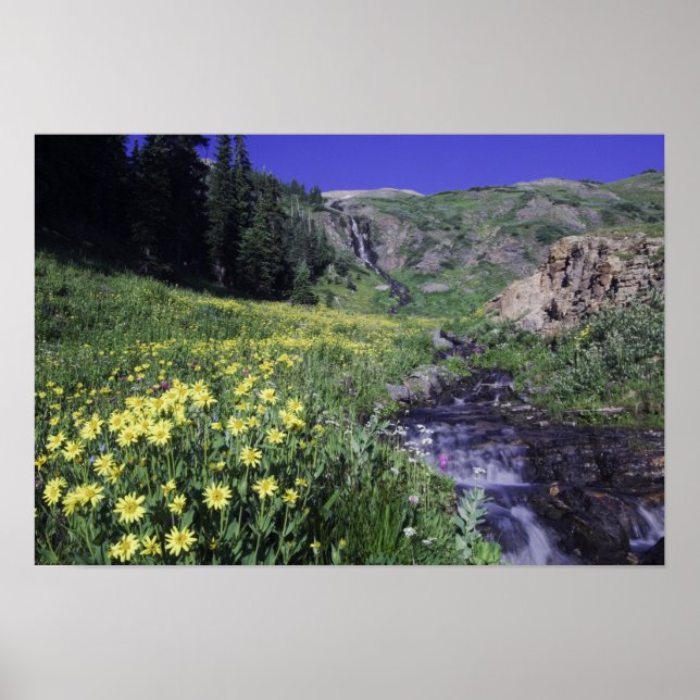 Póster Cachoeira e flores silvestres em prado alpino, 2 (Frente)