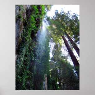 Póster Cachoeira e penhasco