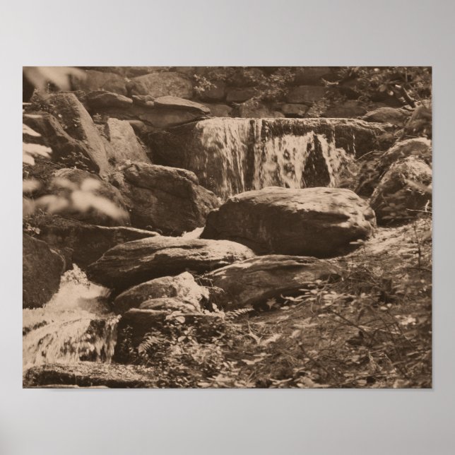 Póster Cachoeira Florestal em Sepia Marrom Natureza (Frente)