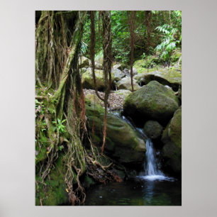 Póster Cachoeira havaiana