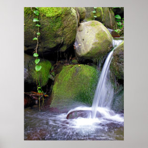 Póster Cachoeira havaiana