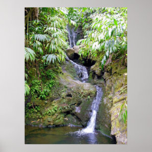 Póster Cachoeira havaiana