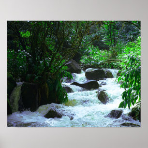Poster Cachoeira havaiana tropical