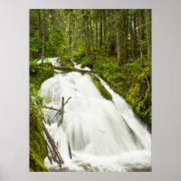 Cachoeira Little Zig Zag | Floresta Nacional Mount