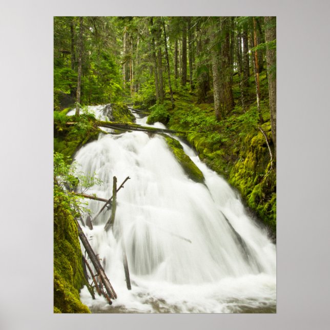 Poster Cachoeira Little Zig Zag | Floresta Nacional Mount (Frente)