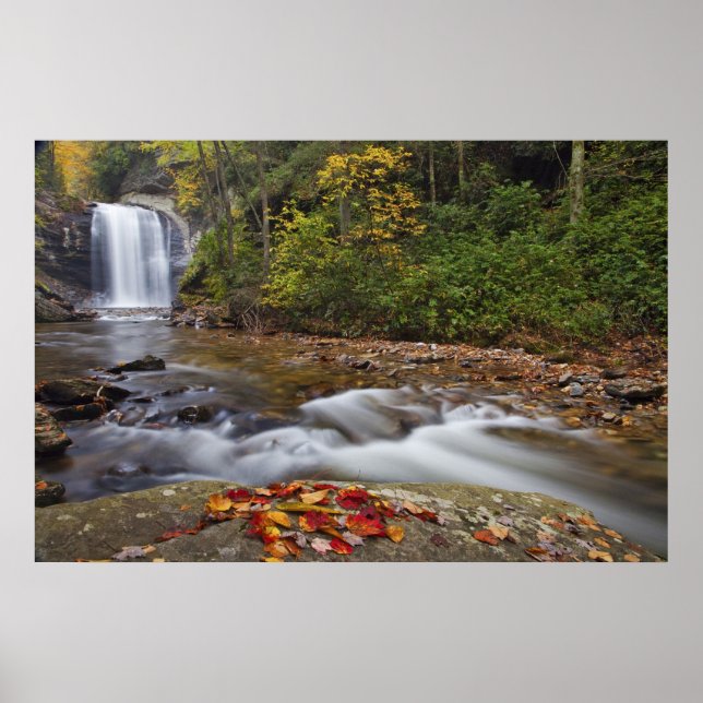 Póster Cachoeira Looking Glass no Pisgah National (Frente)