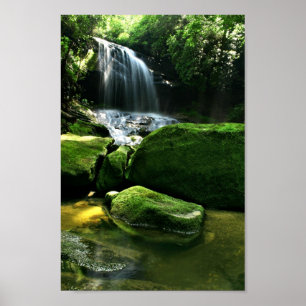 Póster Cachoeira luxúria da floresta tropical na luz