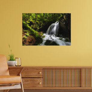 Poster Cachoeira mágica em floresta verde encantadora