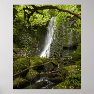 Poster Cachoeira Matai, Catlins, South Otago
