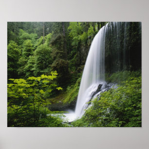 Poster Cachoeira Middle North, Parque Estadual Silver Fal