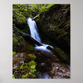 Poster Cachoeira na floresta encantada