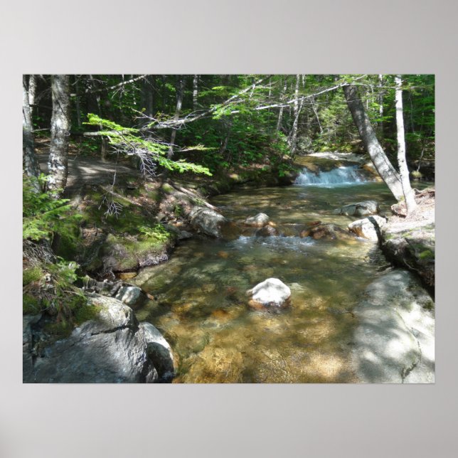 Poster Cachoeira no Pemigewasset River III (Frente)