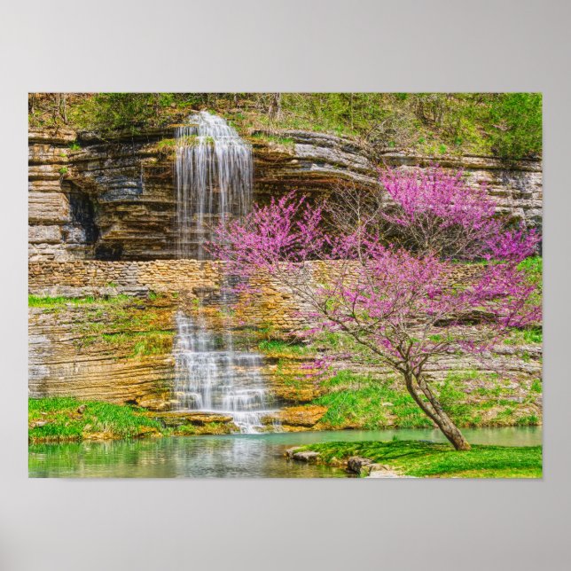 Poster Cachoeira Ozarks Spring Bluff (Frente)