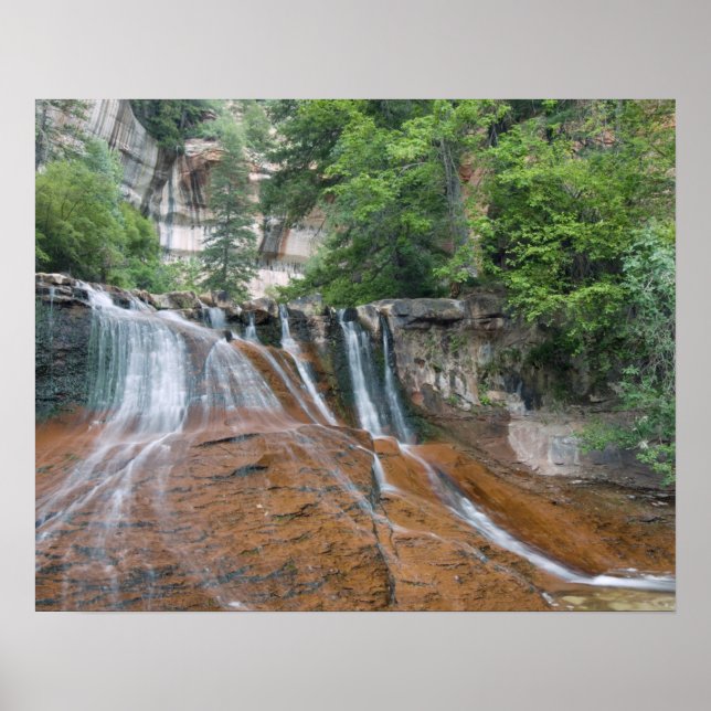 Poster Cachoeira, Parque Nacional Zion, Utah, EUA (Frente)