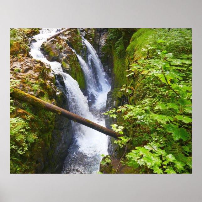 Poster Cachoeira Sol Duc I no Parque Nacional Olímpico (Frente)
