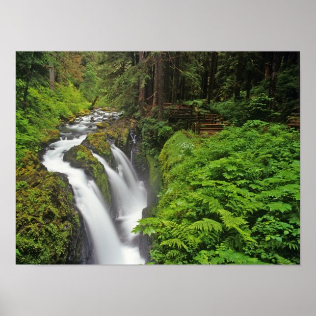 Poster Cachoeira Sol Duc no Parque Nacional Olímpico em (Frente)