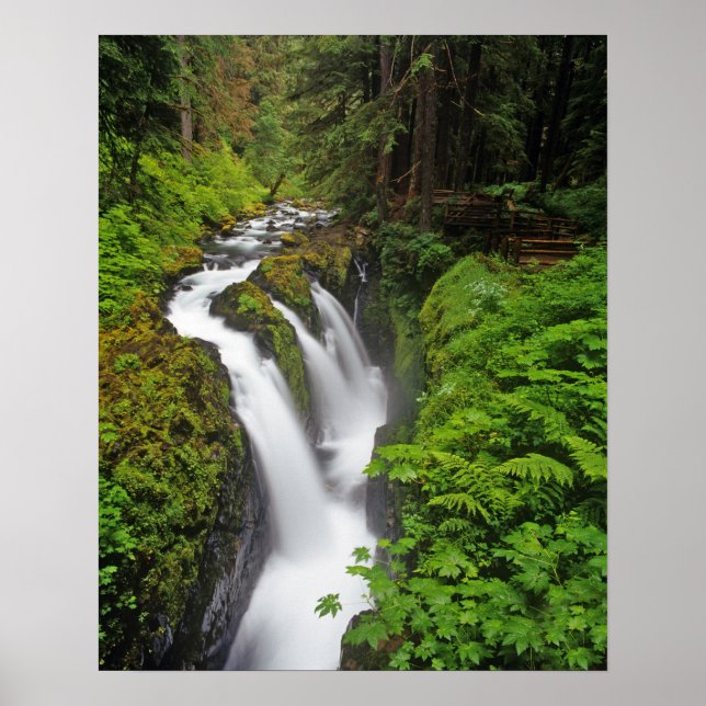 Póster Cachoeira Sol Duc no Parque Nacional Olímpico em 2 (Frente)