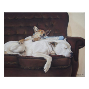 Póster cachorrinho-branco-giro-cãozinho-branco-cãozinho-b