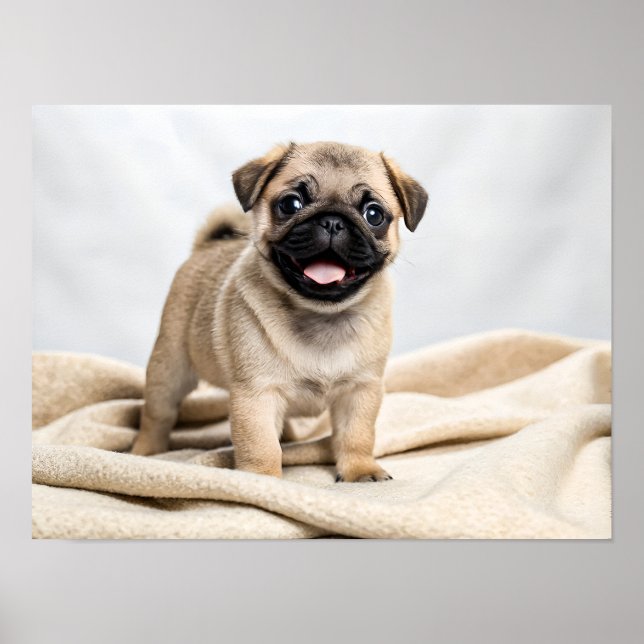 Poster Cachorrinho pug adorável (Frente)