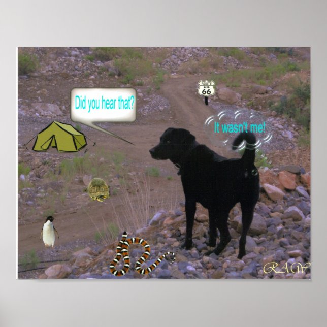 Póster Cachorro (Frente)