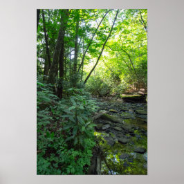 Póster Cachorro Abatido Creek, Kentucky