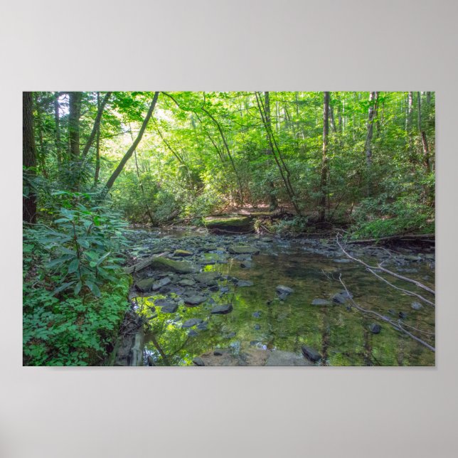 Póster Cachorro Abatido Creek, Kentucky (Frente)