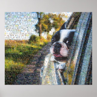 Poster Cachorro adorável pendurado no mosaico da janela