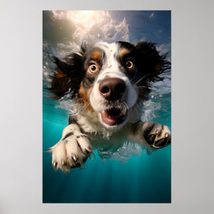 Poster Cachorro Animado Nadando Embaixo d'Água Design