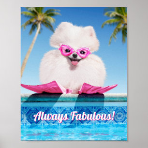 Poster Cachorro Ao Lado De Pólvora