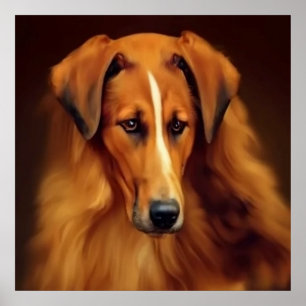 Poster Cachorro Bakharwal - Retrato de Cachorro