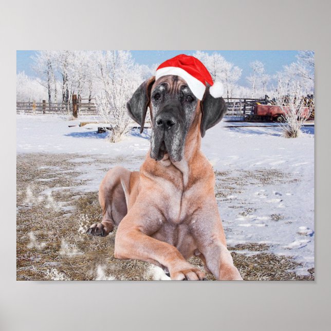 Póster Cachorro Bonito Sentado No Chapéu De Natal Da Neve (Frente)