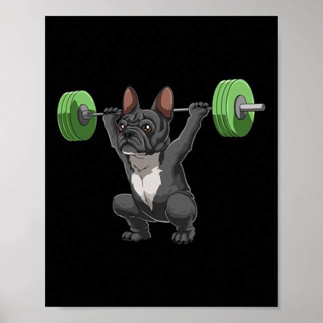 Poster Cachorro Bulldog Francês Engraçado Levantamento de (Frente)