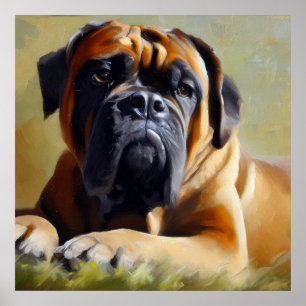 Poster Cachorro Bullmastiff