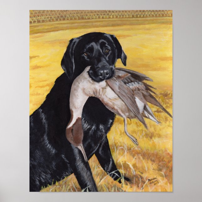 Póster Cachorro Caçador Negro Labrador (Frente)