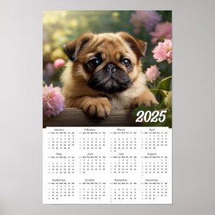Poster Cachorro Cachorro 2025