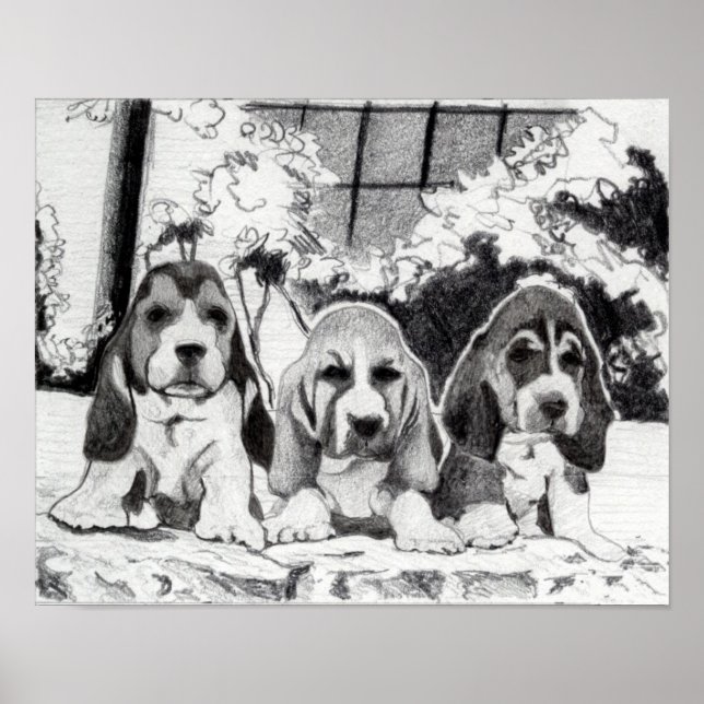 Póster Cachorro Cachorro-Basset (Frente)