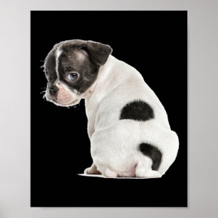Poster Cachorro Cachorro Com Sono Bonito Face Para Amante